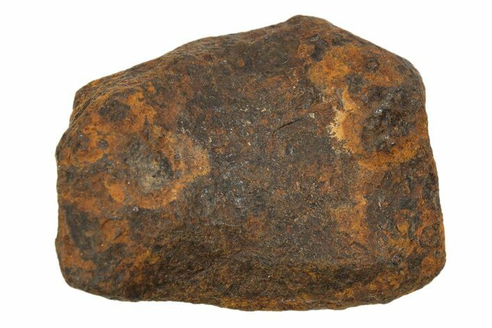 Mundrabilla Iron Meteorite ( g) - Australia #318873